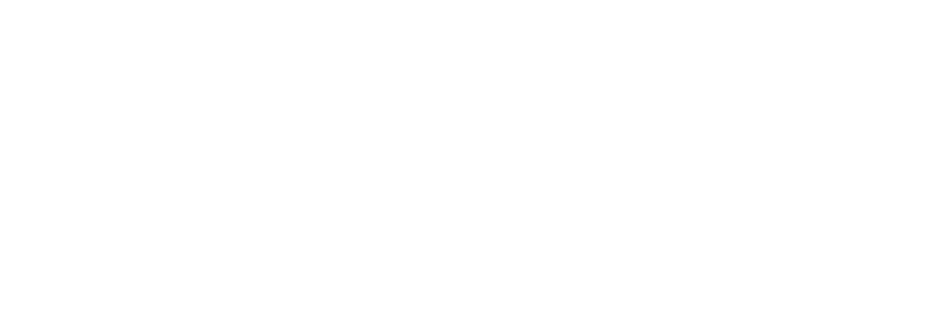 Dennis DirtWorx